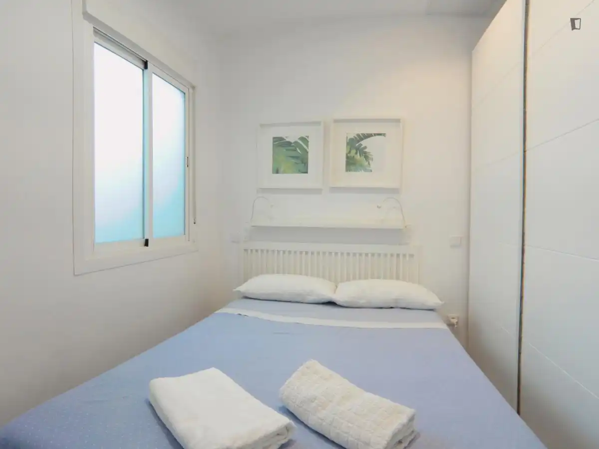 Monolocale in affitto a Centro, imagen 25