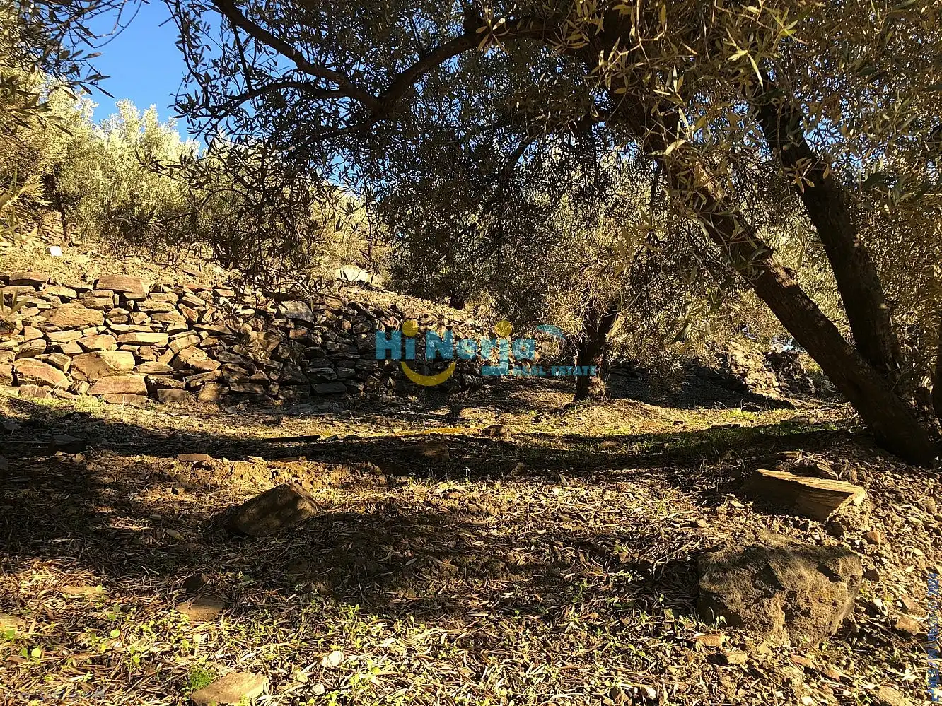 Terreni e lotti in vendita a Torrox Pueblo, imagen 17
