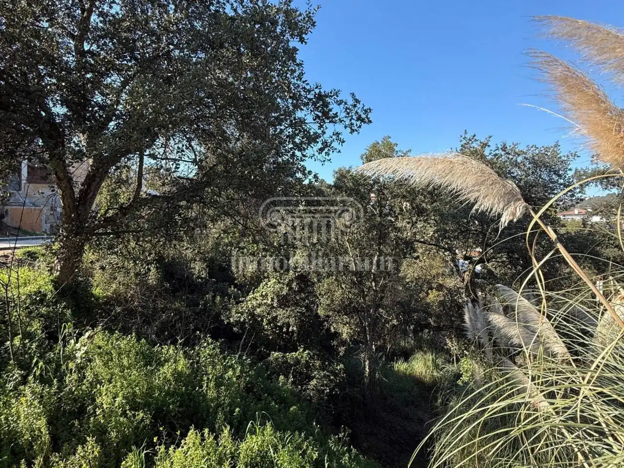 Terreno rústico en venta en Alella, imagen 7