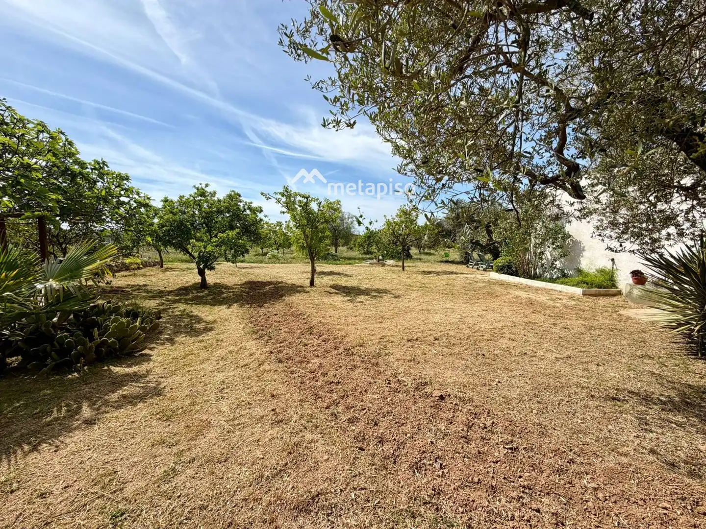 Terreno rustico in vendita a Santa Oliva, imagen 8