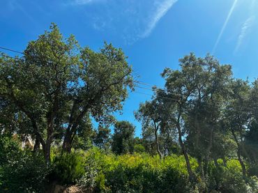 Terreny residencial en venda a Lloret Blau - La Creu de Lloret