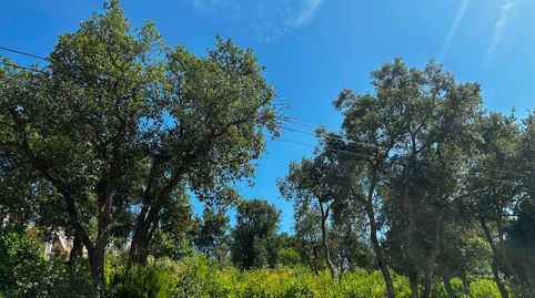 Terreno Lloret