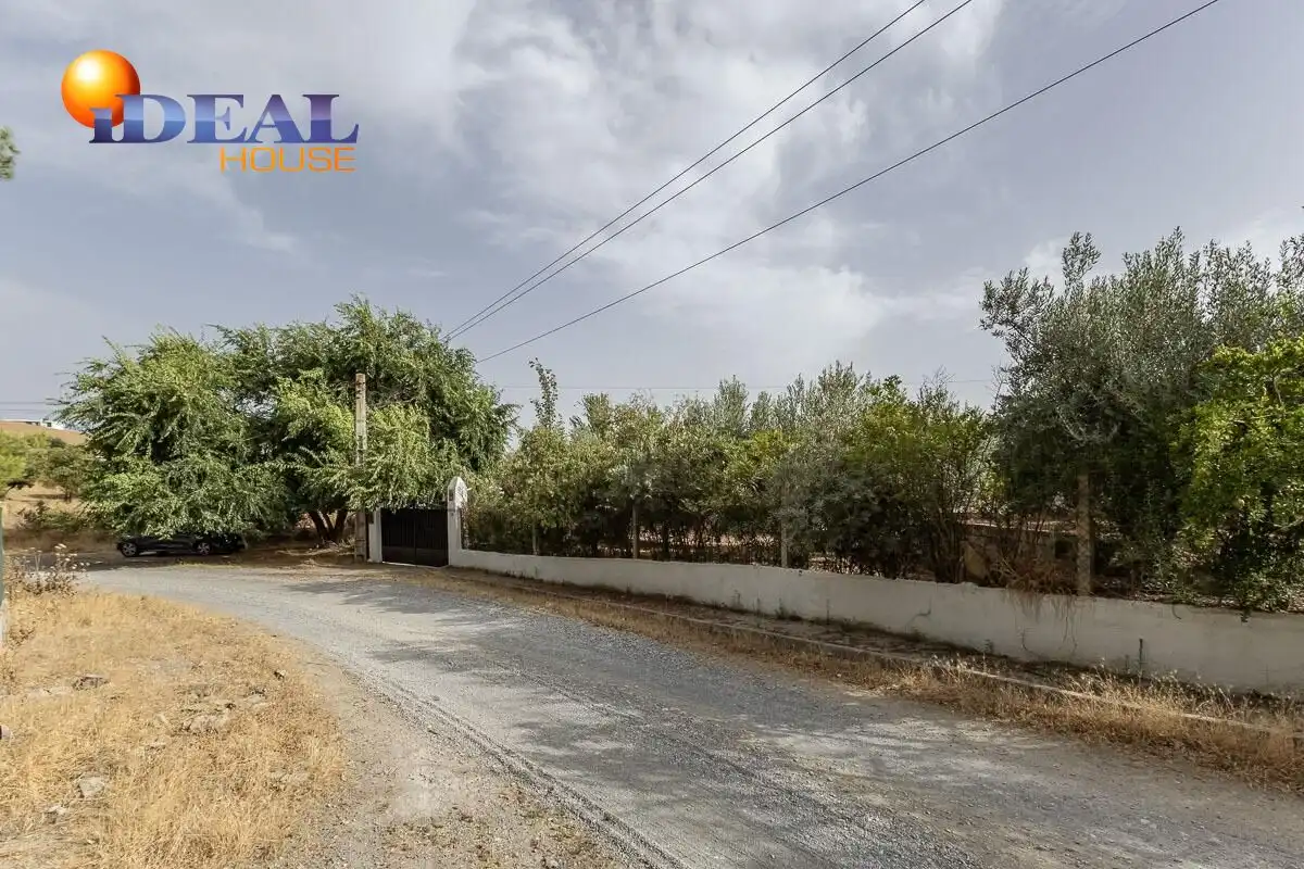Xalet amb piscina en venda a Aljomahima - Ermita, imagen 51