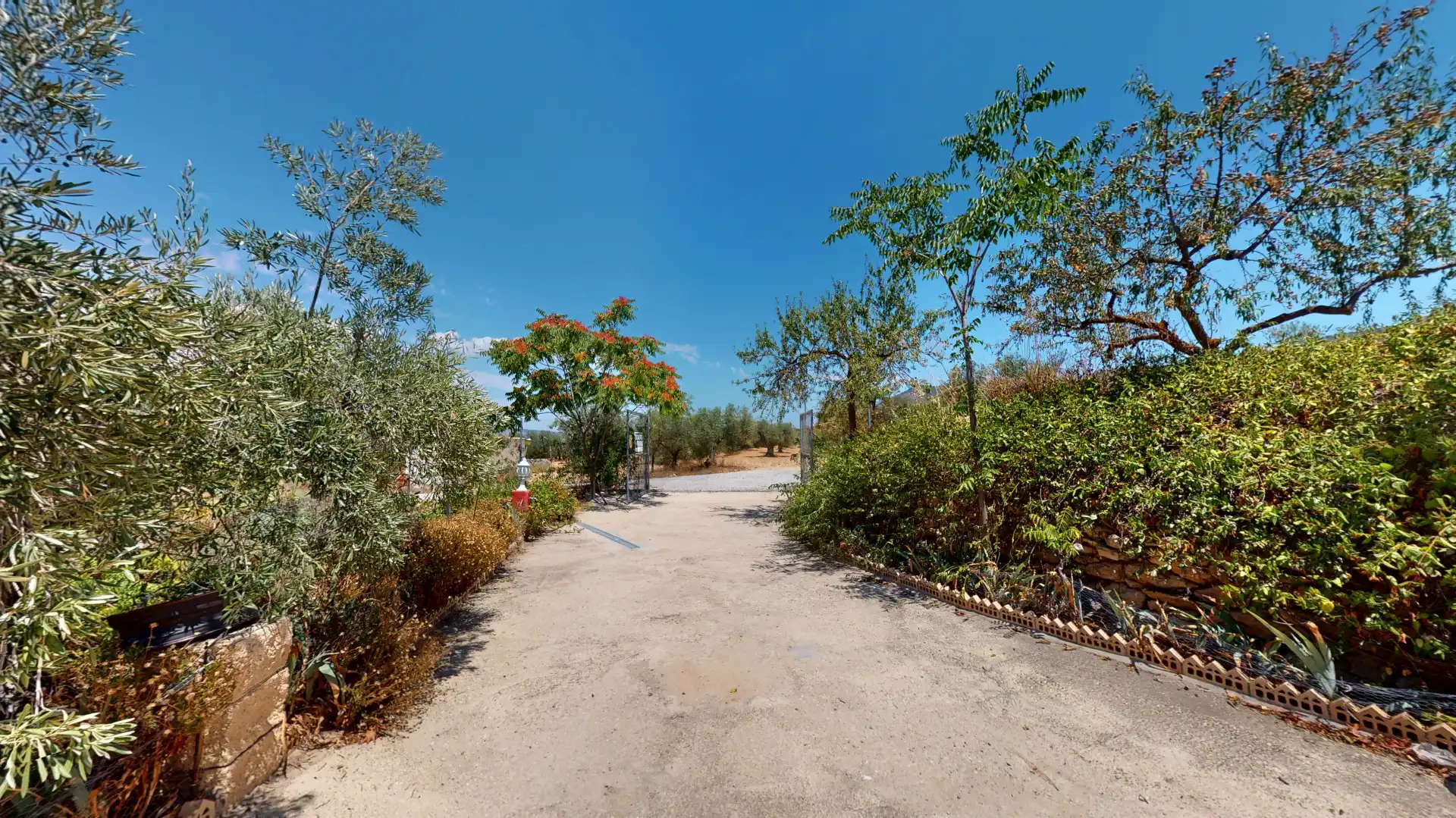 Casa o xalet en venda en Biar amb Aire condicionat, Jardí privat i Piscina