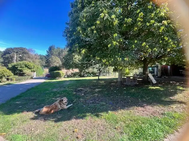 Vista exterior de Casa o xalet en venda en Friol amb Jardí privat, Terrassa i Moblat