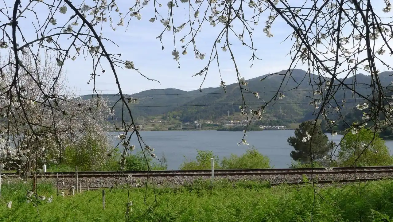 House for sale in Ribadavia, imagen 2