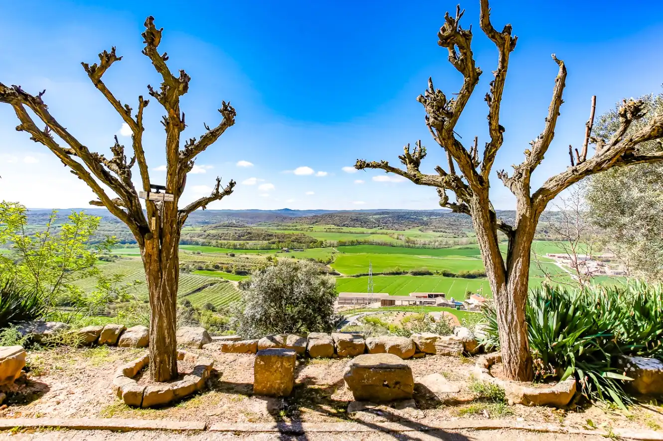 Jardí de Finca rústica en venda en Vilanova de l'Aguda