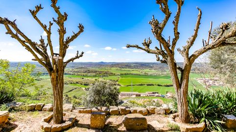 Foto 5 de Finca rústica en venda a Vilanova de l'Aguda, Lleida