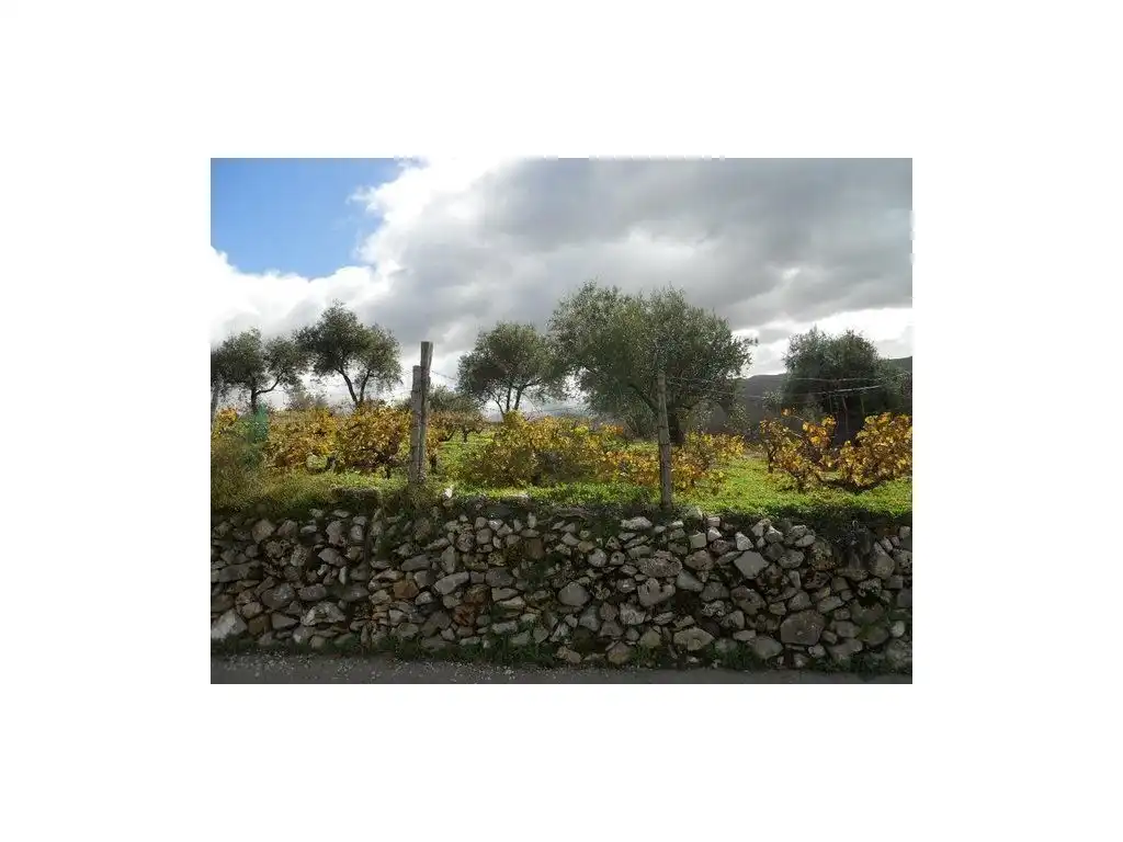 House for sale in Centro, imagen 3