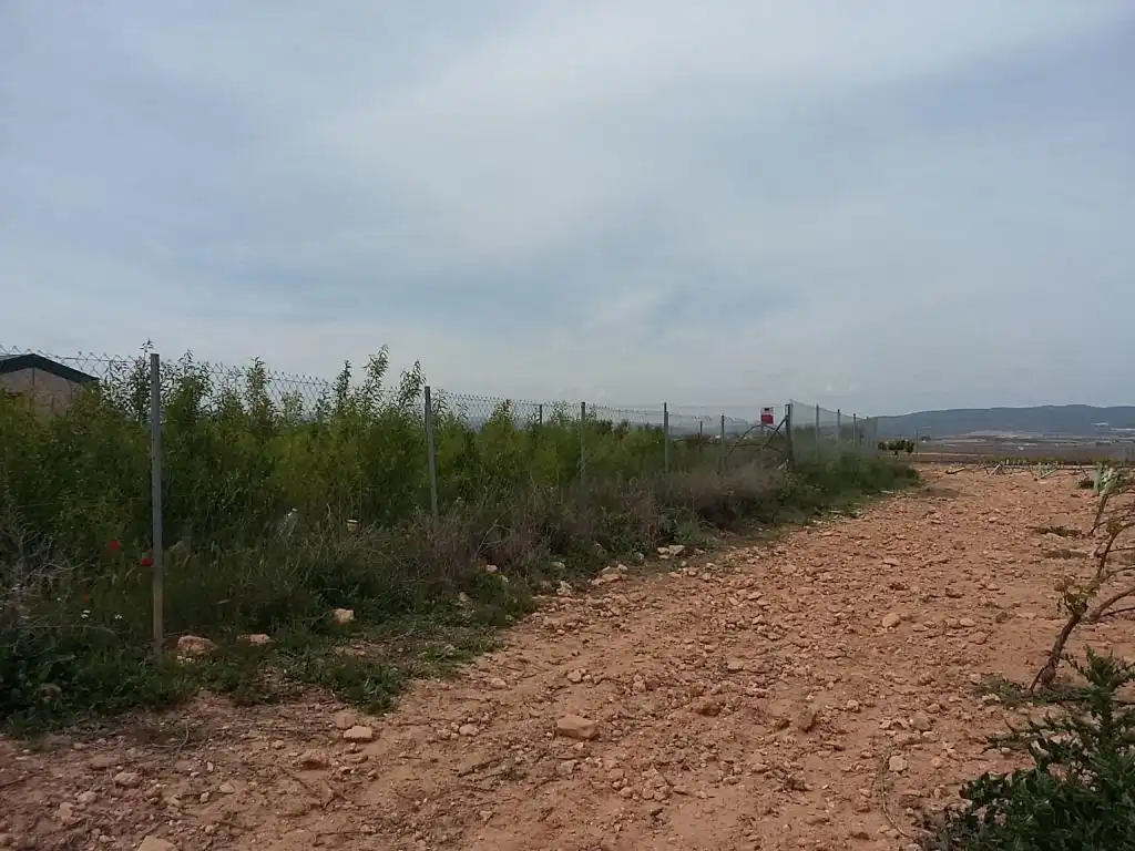 Terreny rústic en venda a POLIGONO, imagen 8