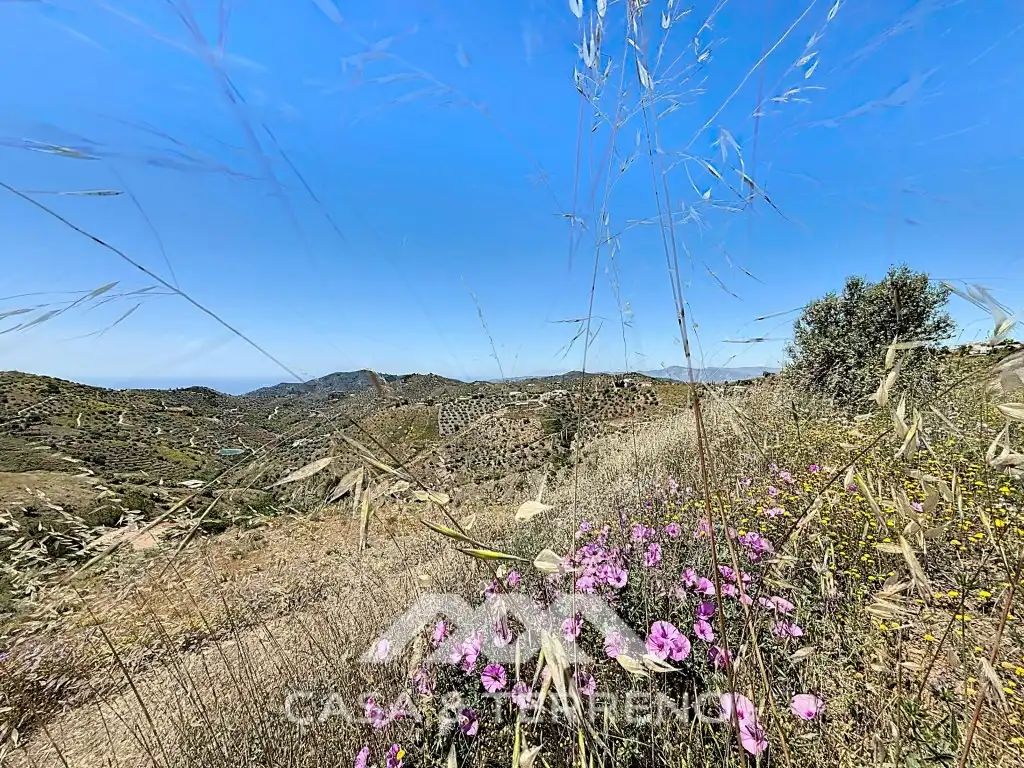 Land for sale in Canillas de Albaida
