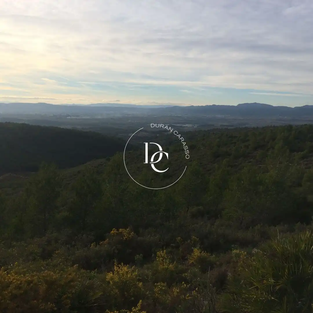 Casa rustica in vendita a Castellet i la Gornal, imagen 16