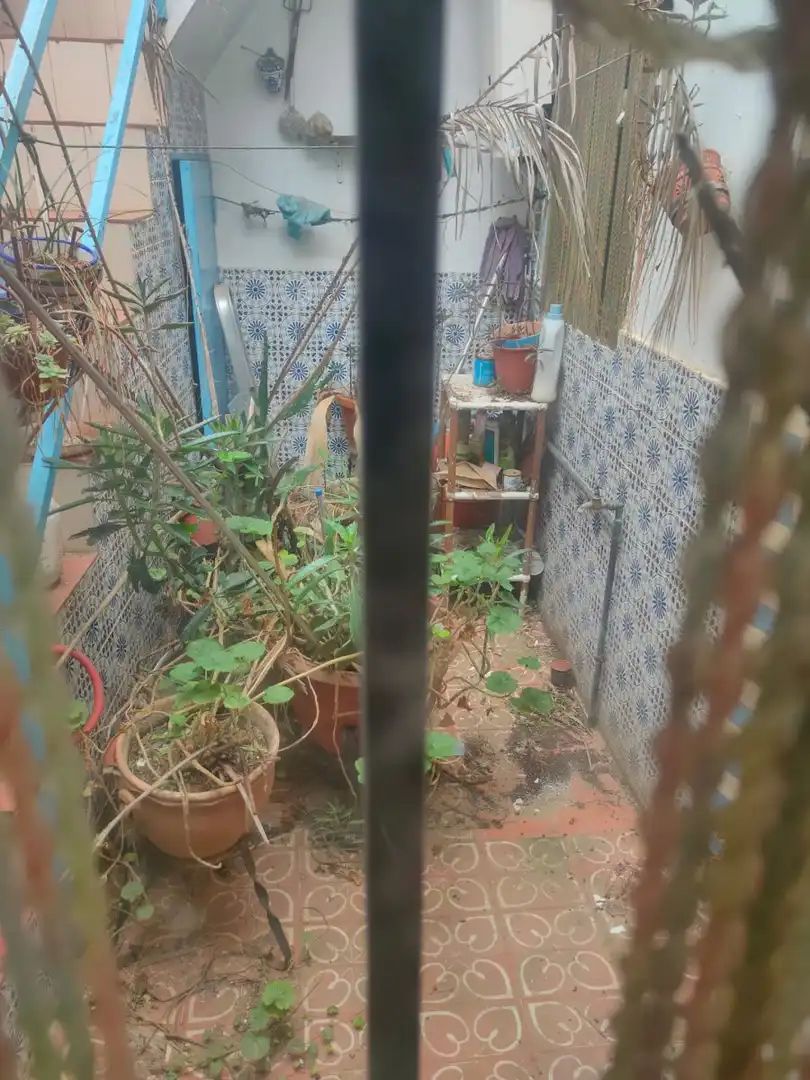 Jardí de Casa o xalet en venda en Almendralejo amb Terrassa i Traster
