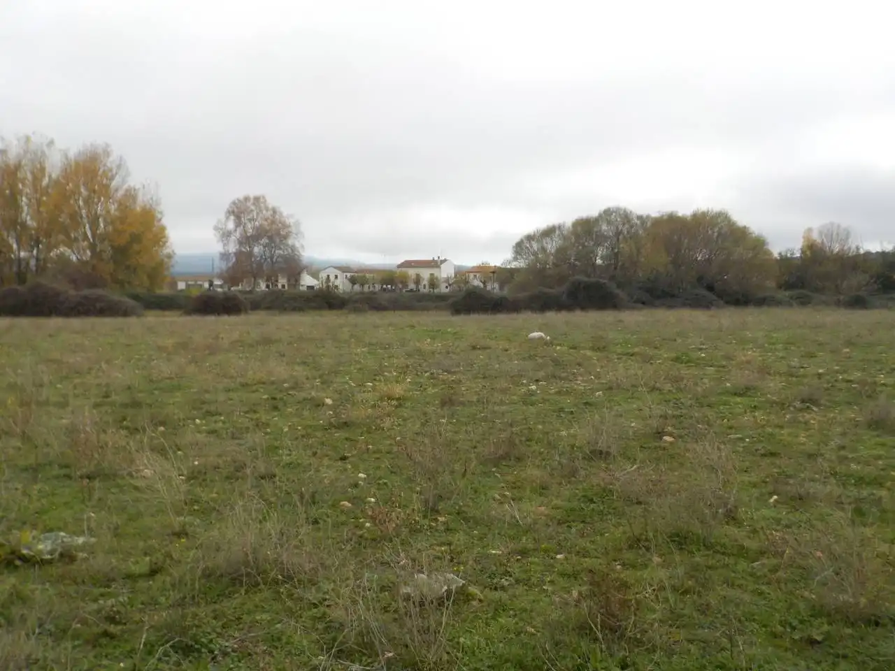 Terreno residenziale in vendita a Poligono 20, imagen 5