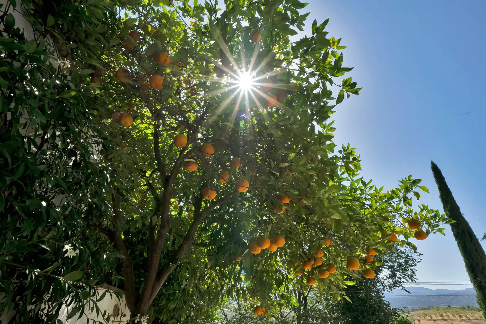 Jardín de Casa o chalet en venta en Ronda con Calefacción, Jardín privado y Terraza