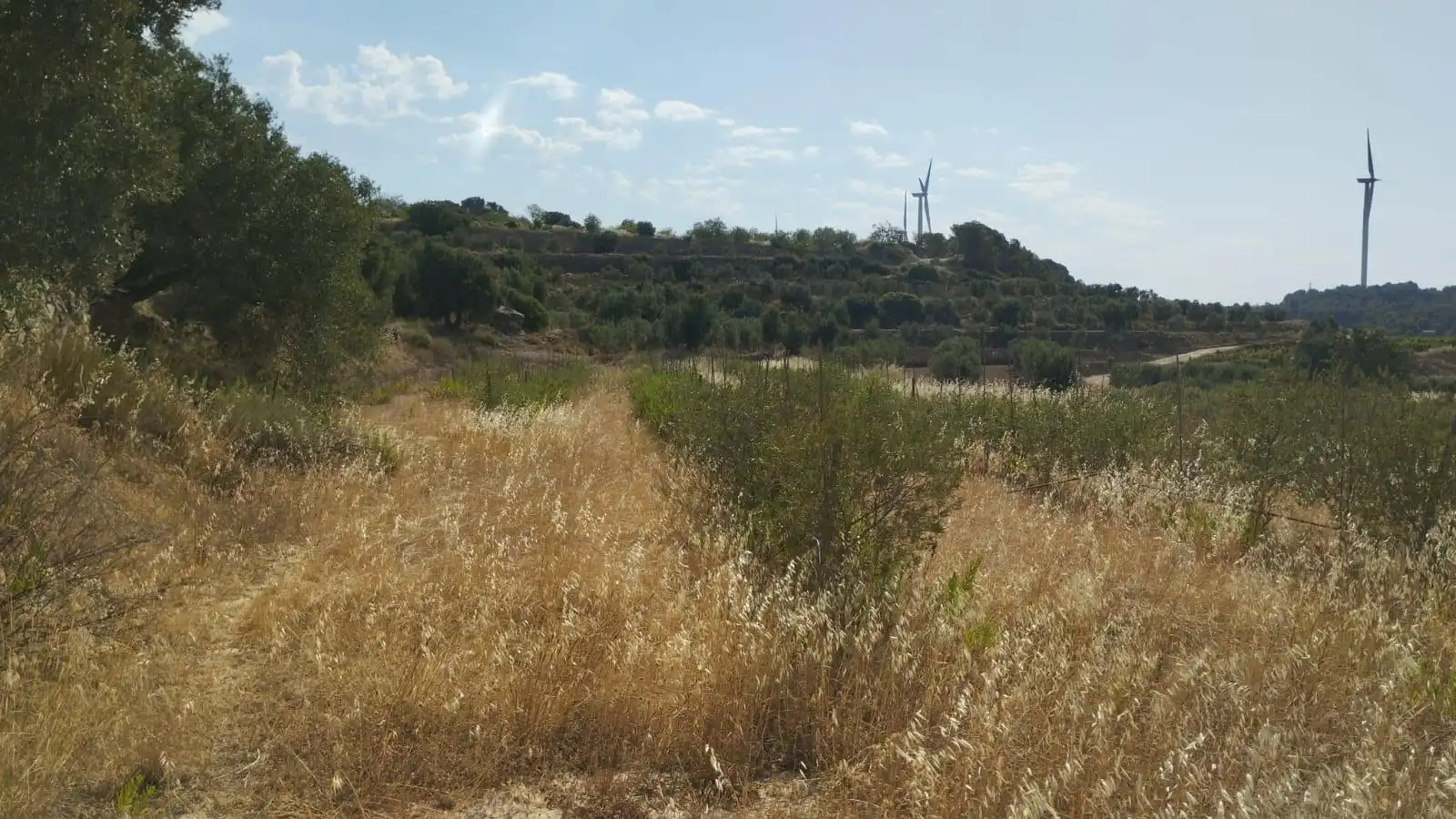 Terreno rústico en venta en Vilalba dels Arcs, imagen 11