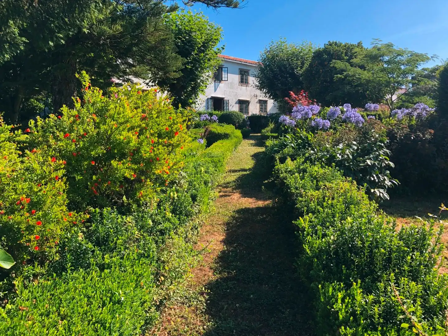 Garten von Haus oder Chalet zum Verkauf in Oleiros mit Privatgarten, Parkett und Terrasse