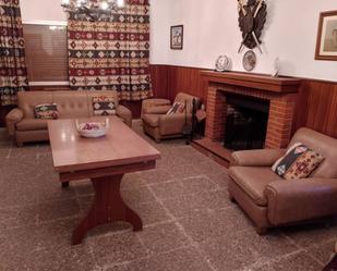 Sala d'estar de Casa o xalet en venda en Manzanares