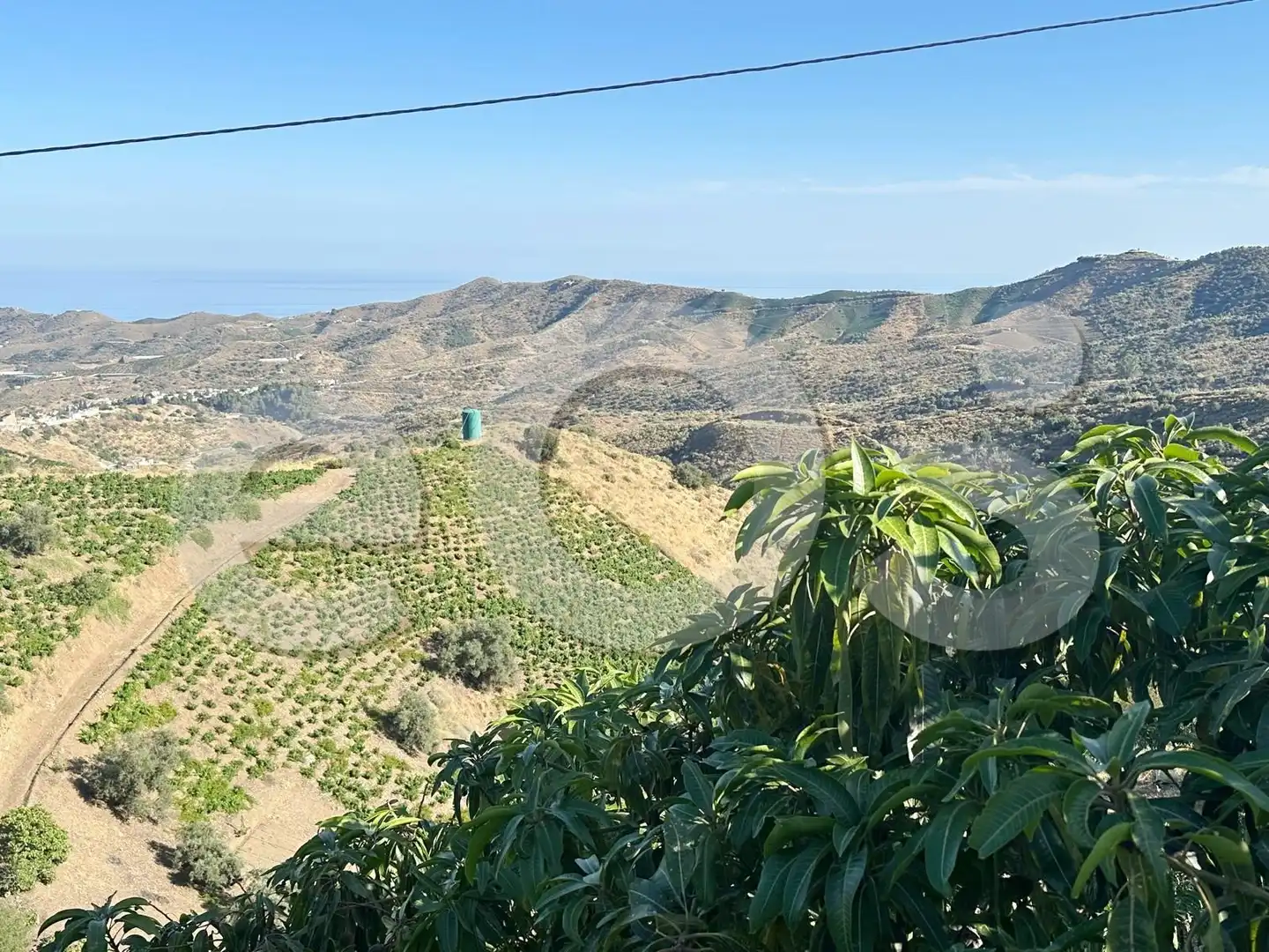 Vista exterior de Terreno en venta en Macharaviaya