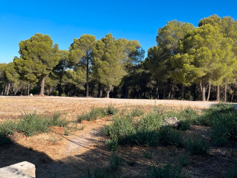 Residential for sale in La Zubia