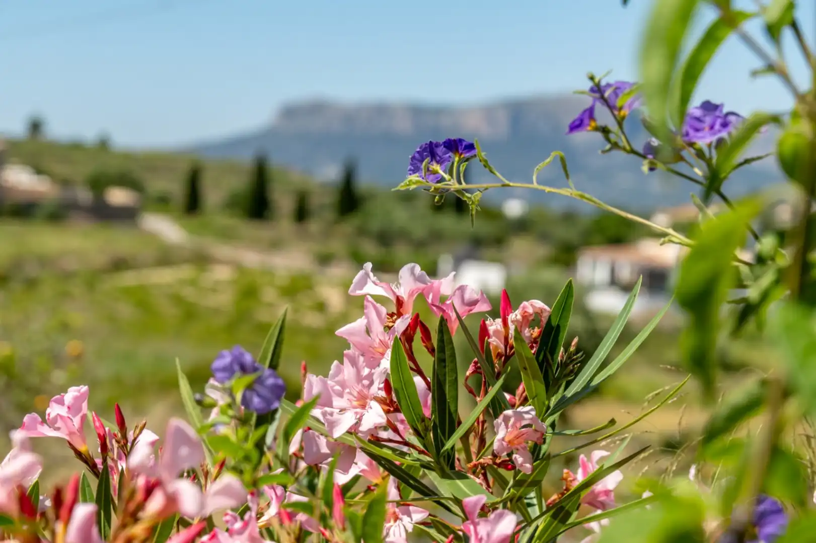Jardín de Finca rústica en venta en Benissa con Aire acondicionado, Calefacción y Jardín privado