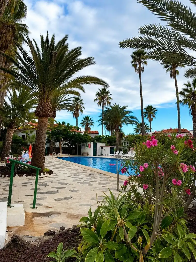 Vista exterior de Pis en venda en Arona amb Jardí privat, Terrassa i Moblat