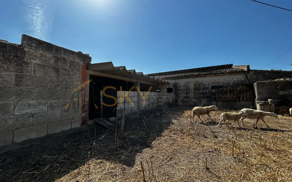 Terrain rustique à vendre à Diseminado Poligono 9 278, imagen 32