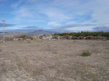 Terreno rustico in vendita a La Alcayna