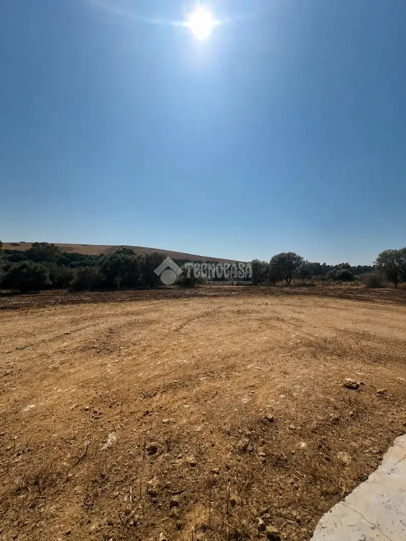 Casa con jardín en venta en Medina Sidonia, imagen 12