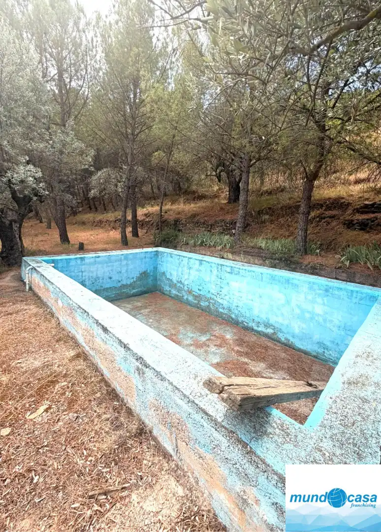 Piscina de Finca rústica en venda en Morata de Jalón amb Piscina comunitària
