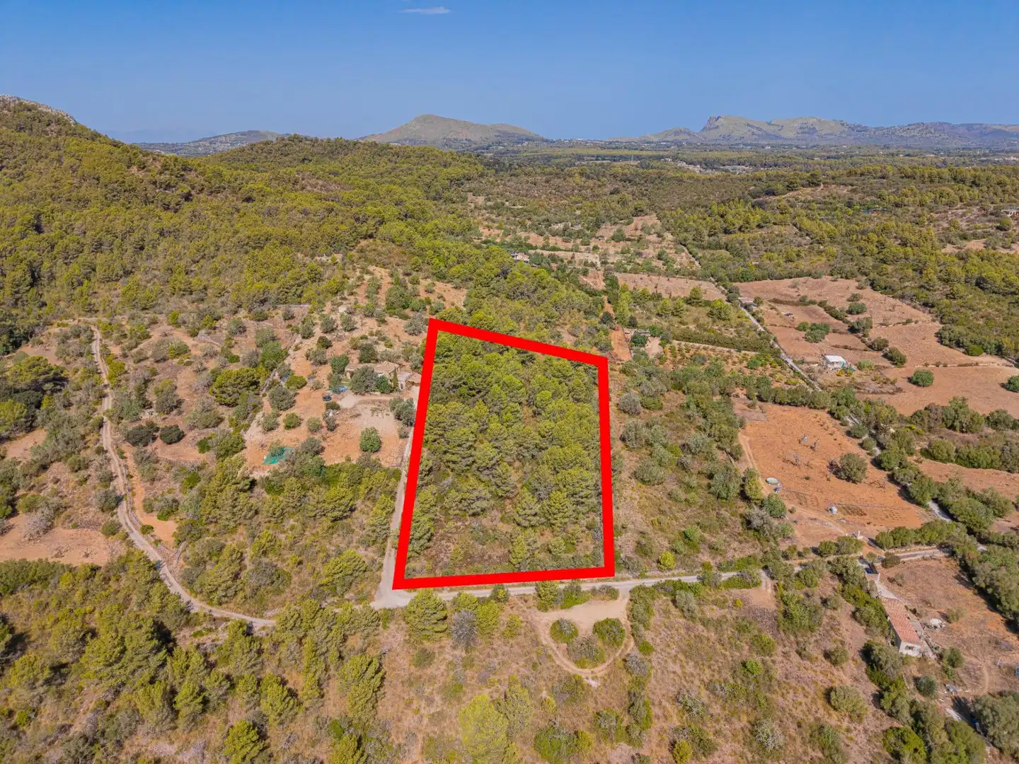 Rural land for sale in Son Servera Poble, imagen 3