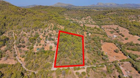 Photo 3 of Land for sale in Son Servera Poble, Son Servera
