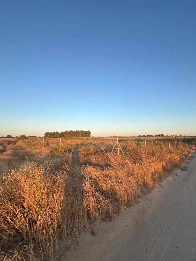 Terreny rústic en venda a Pedanías Norte, imagen 21
