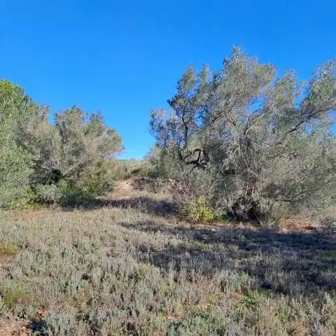 Country homes for sale in Tortosa