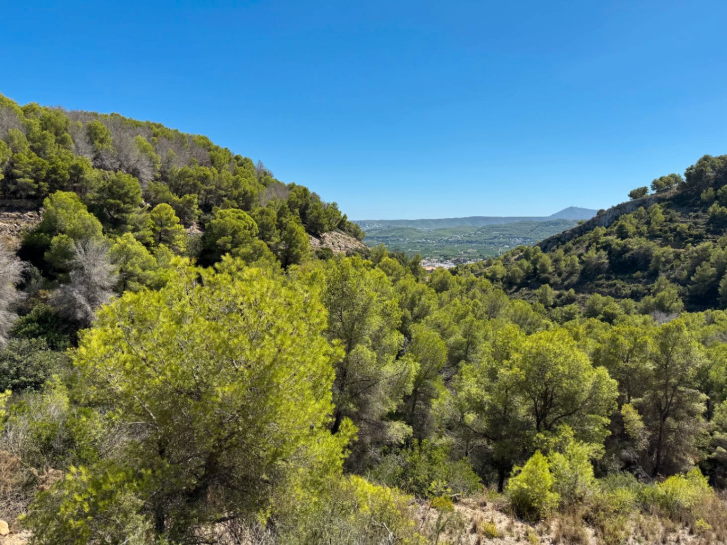 Vista exterior de Residencial en venda en Jávea / Xàbia