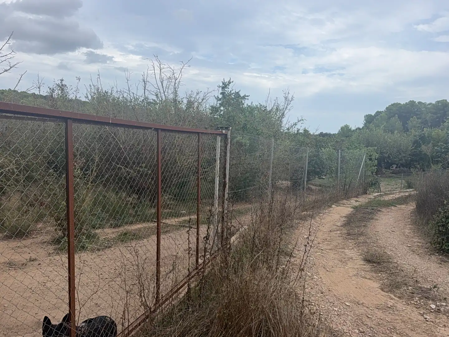 Terreny rústic en venda a Carretera del Catllar 22, imagen 14