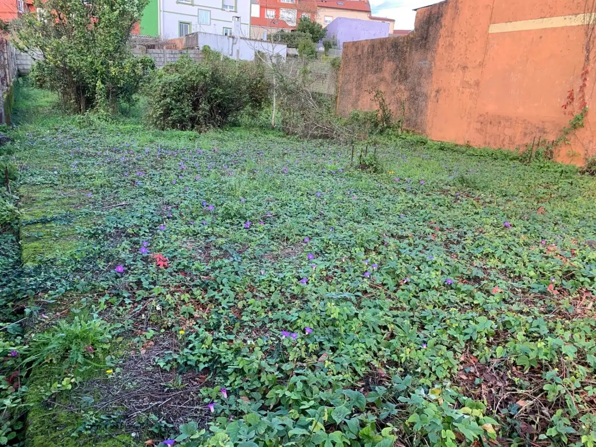 Residential for sale in Boiro