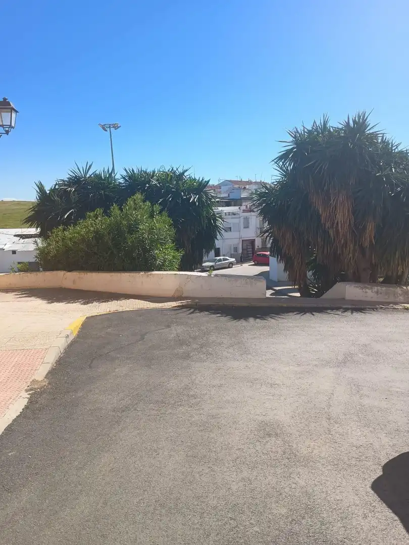 Vista exterior de Casa o chalet en venta en La Puebla de Cazalla