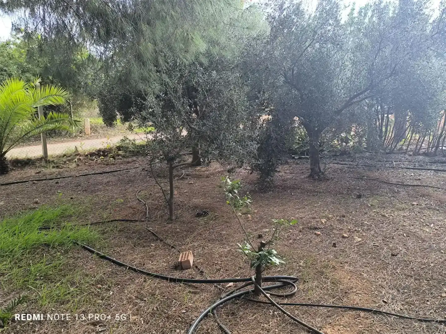 Pis en venda en Cartagena amb Aire condicionat, Jardí privat i Piscina
