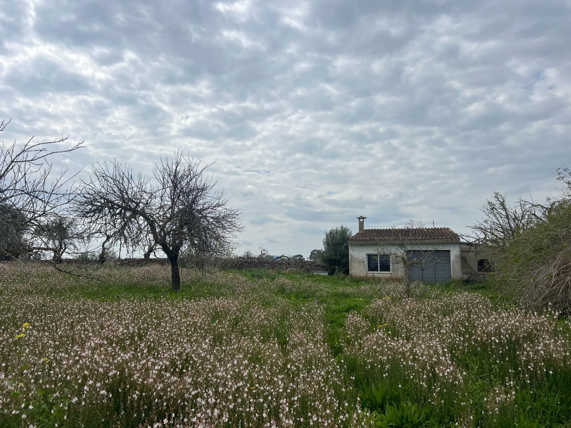 Finca rústica en venda en Santa Margalida