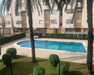 Swimming pool of Flat to rent in  Murcia Capital  with Air Conditioner