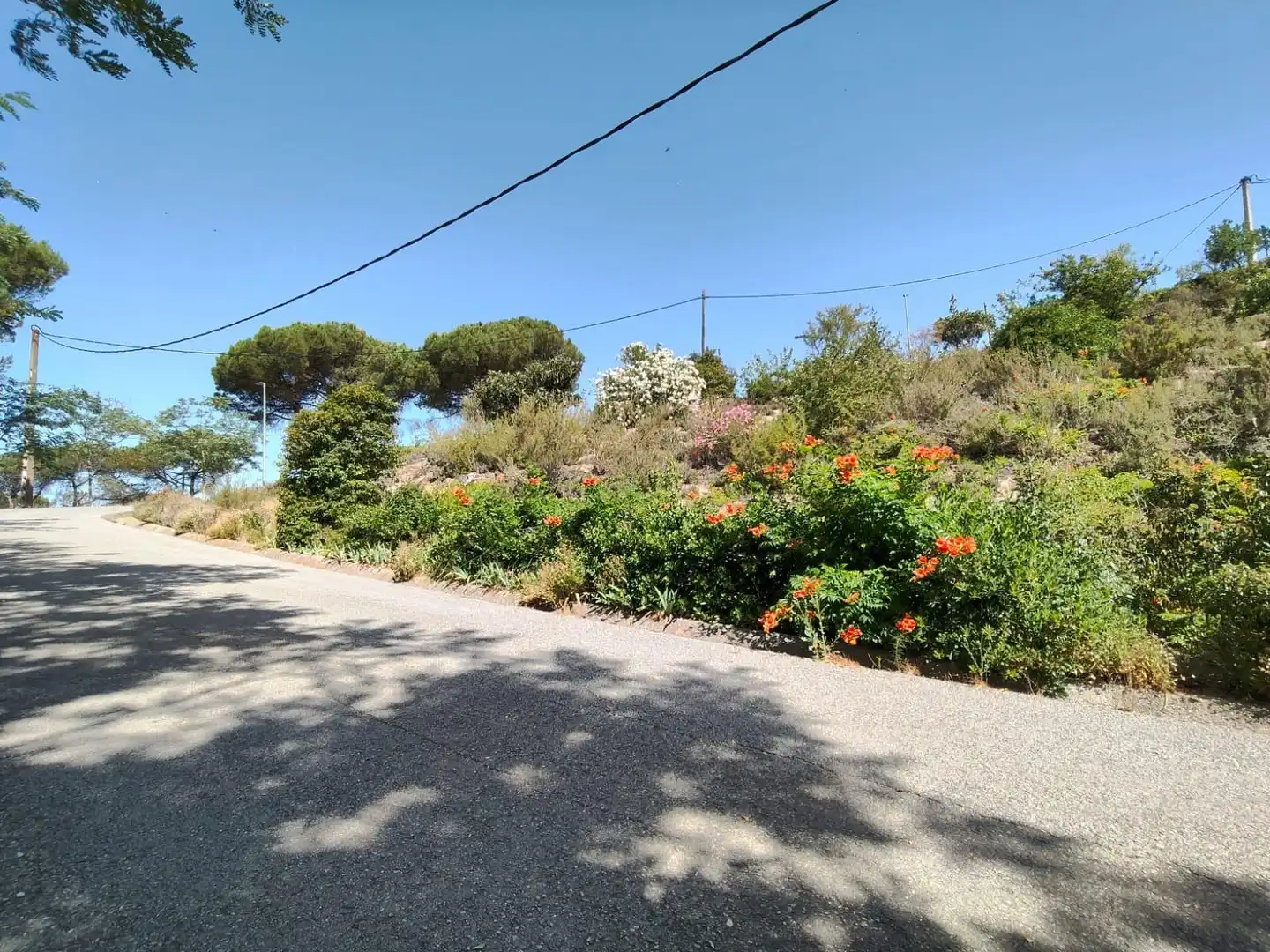 Terreni e lotti in vendita a Vilanova del Vallès, imagen 6