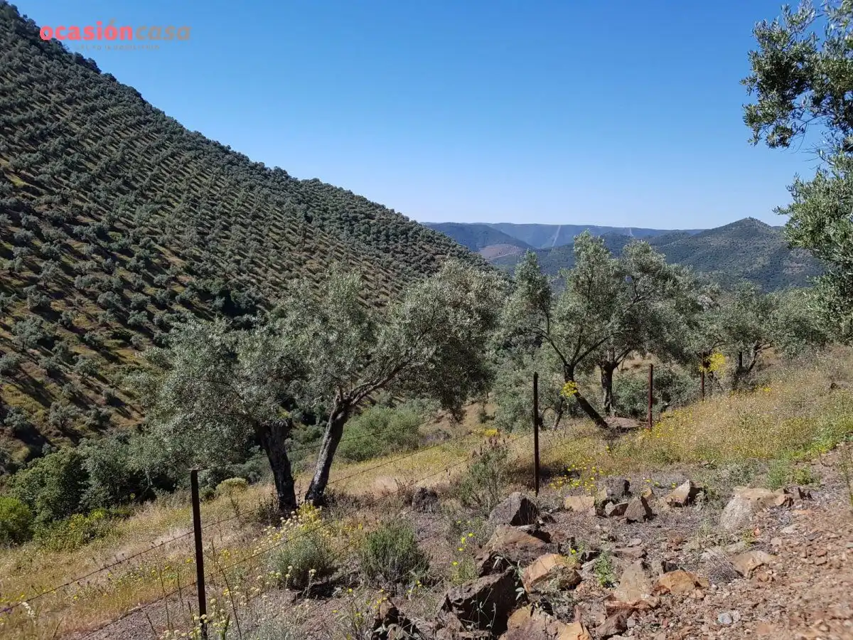 Vista exterior de Finca rústica en venta en Villanueva de Córdoba con Jardín privado, Trastero y Amueblado