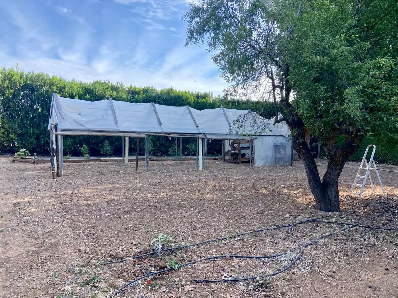 Vista exterior de Casa o chalet en venta en Ciudad Real con Aire acondicionado, Calefacción y Jardín privado