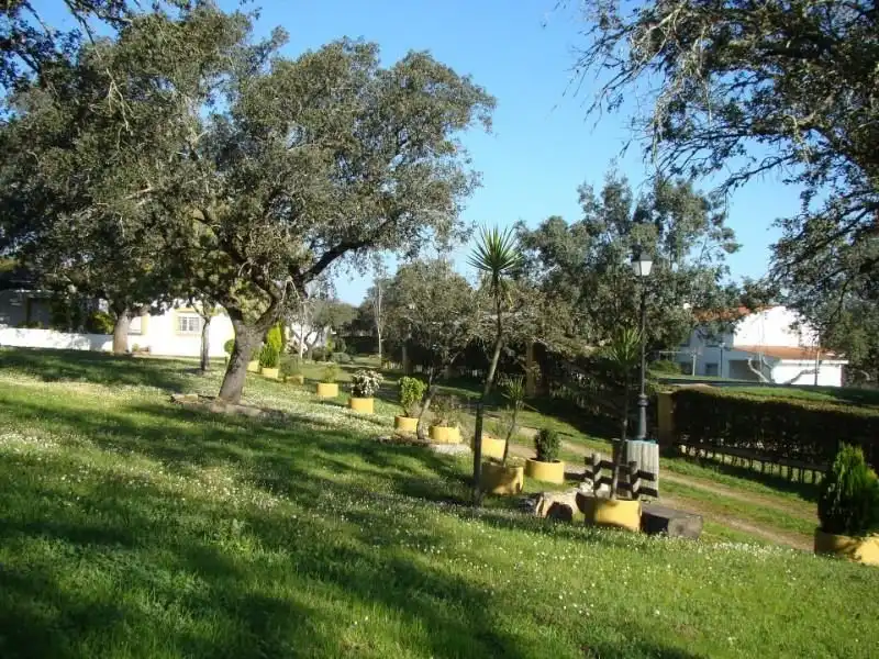 Terreni e lotti in vendita a Alcántara, imagen 4