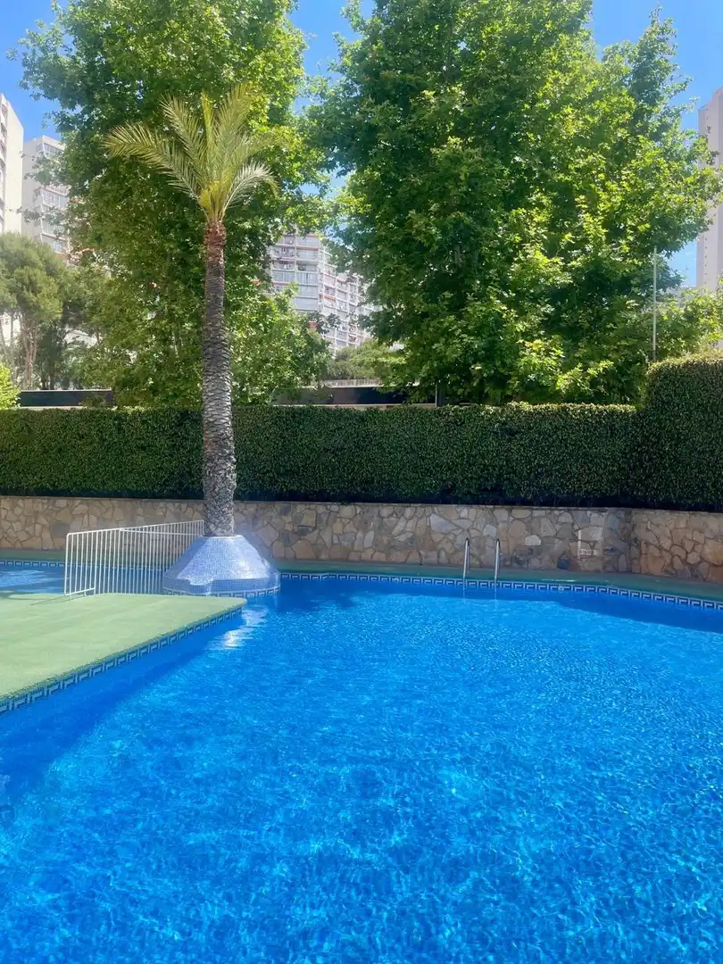 Piscina de Apartament en venda en Benidorm