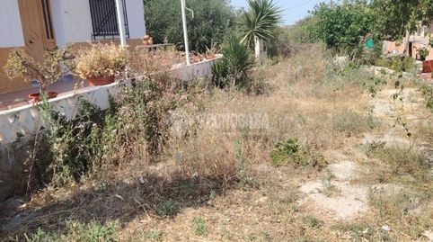 Foto 5 de Finca rústica en venda a Los Gallardos, Almería