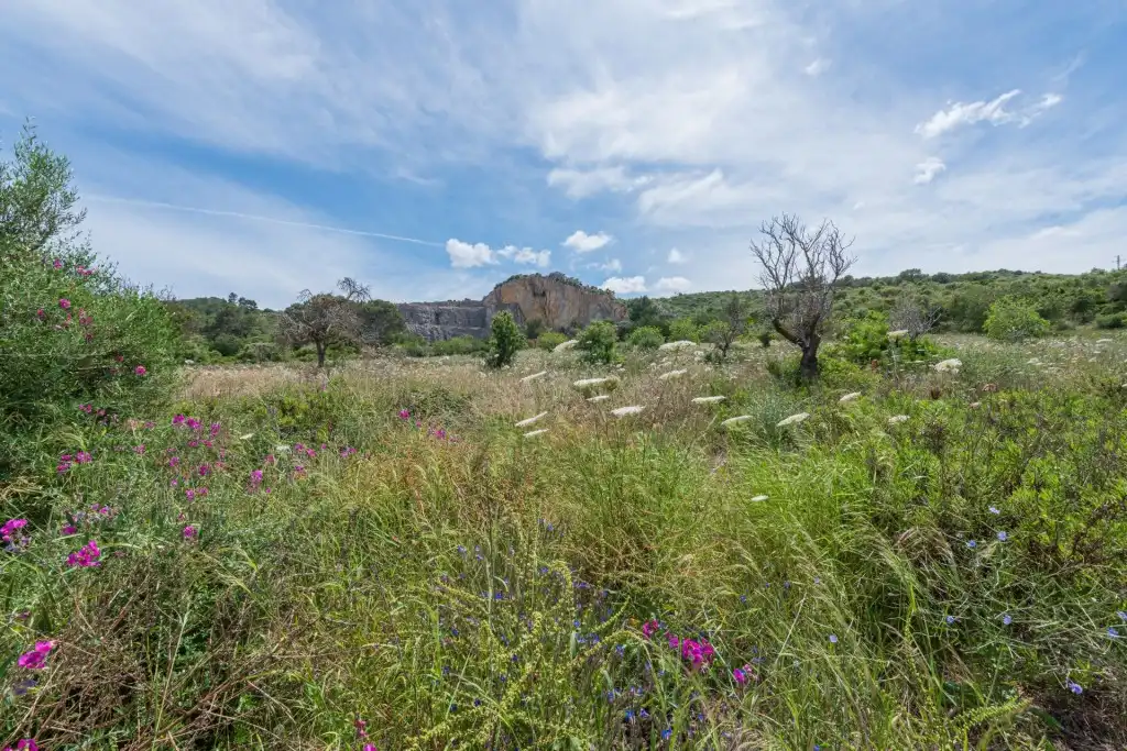 Land for sale in Ciutat d'Alcúdia