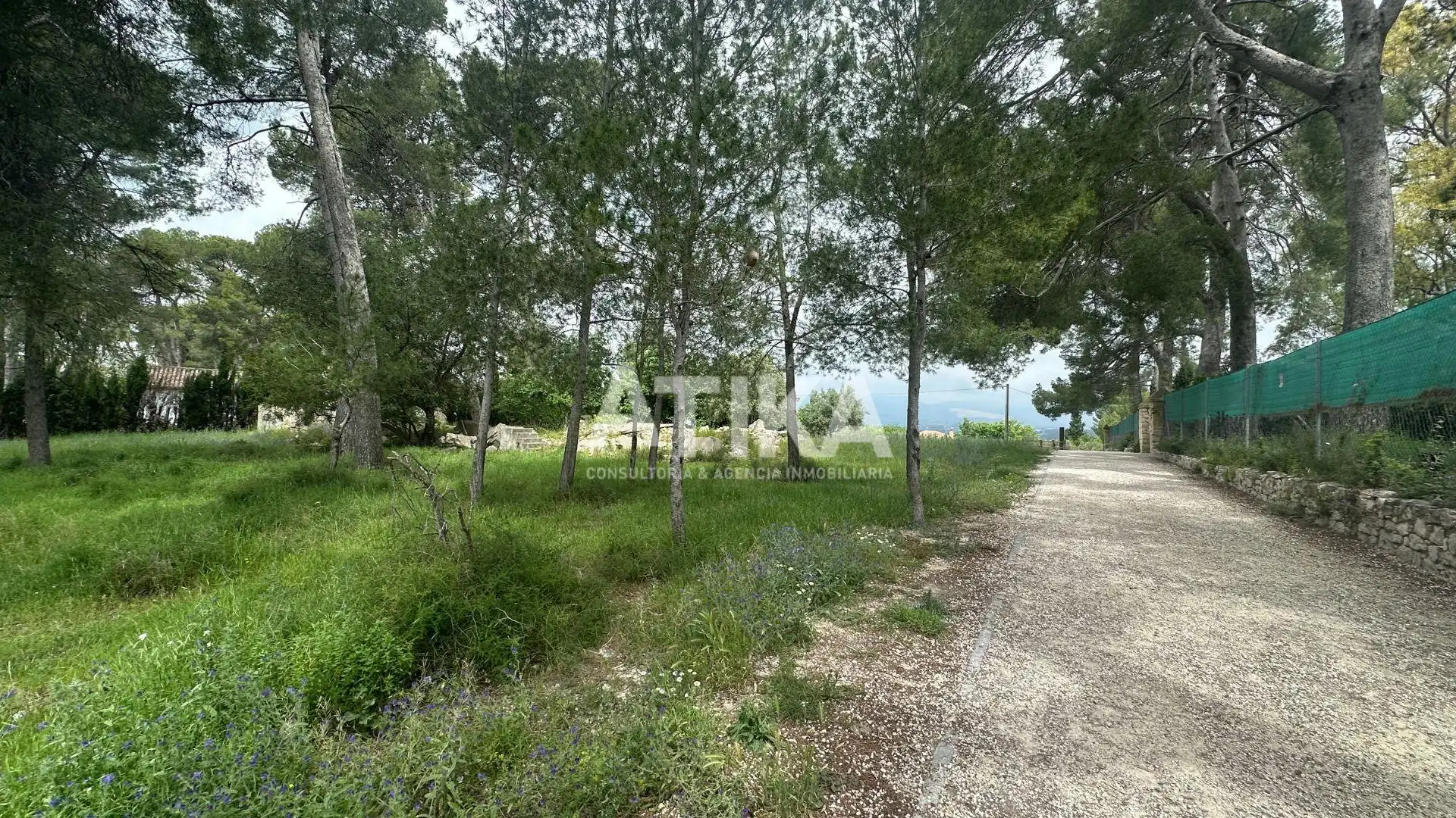 Residential land for sale in Centro, imagen 5
