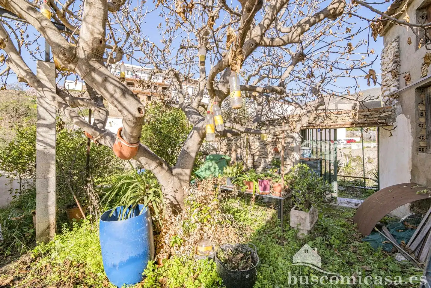 Jardín de Casa o chalet en venta en Molvízar con Jardín privado, Terraza y Trastero